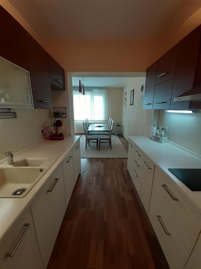 Statevi Guest Apartment Velingrado Exterior foto